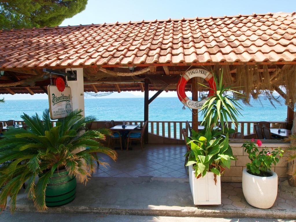 Apartment Danica Gradac (Split-Dalmatia)